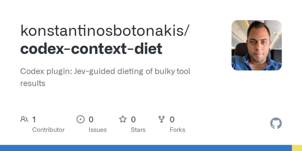 Preview of codex-context-diet, from its source